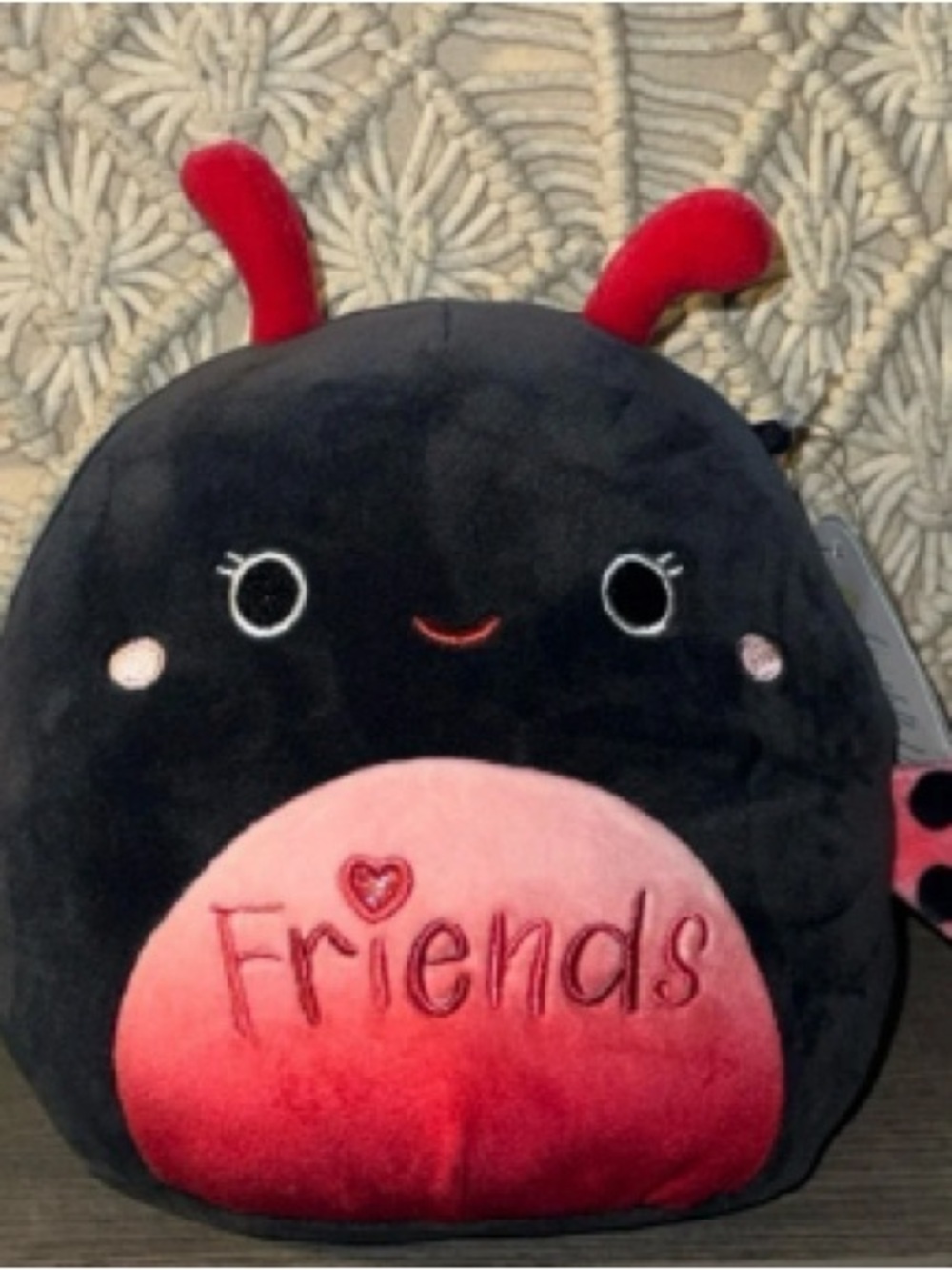 Plush Ladybug Accent Pillow in Black and Pink - 'Friends' Embroidered